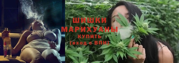 apvp Богородск