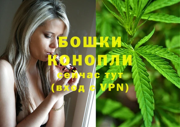 mdpv Богородицк