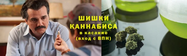 apvp Богородск