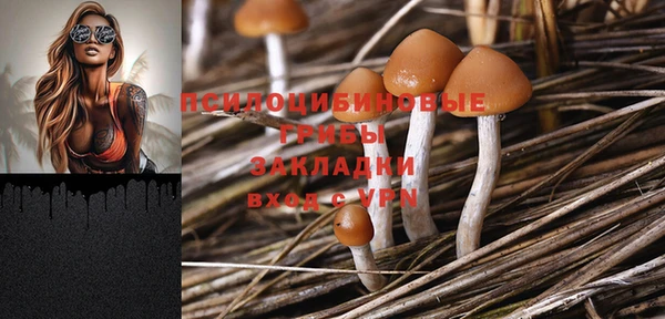 mdpv Богородицк