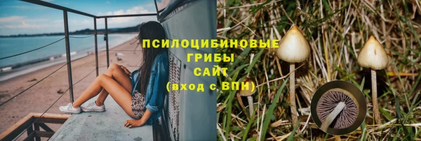 apvp Богородск