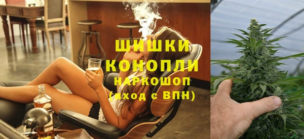 mdpv Богородицк